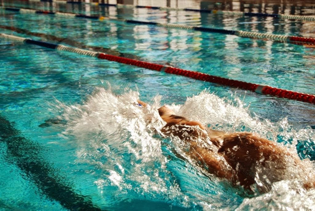 49° Gala di nuoto naturista - Andalo 49° Gala di nuoto naturista - Andalo - Fenait